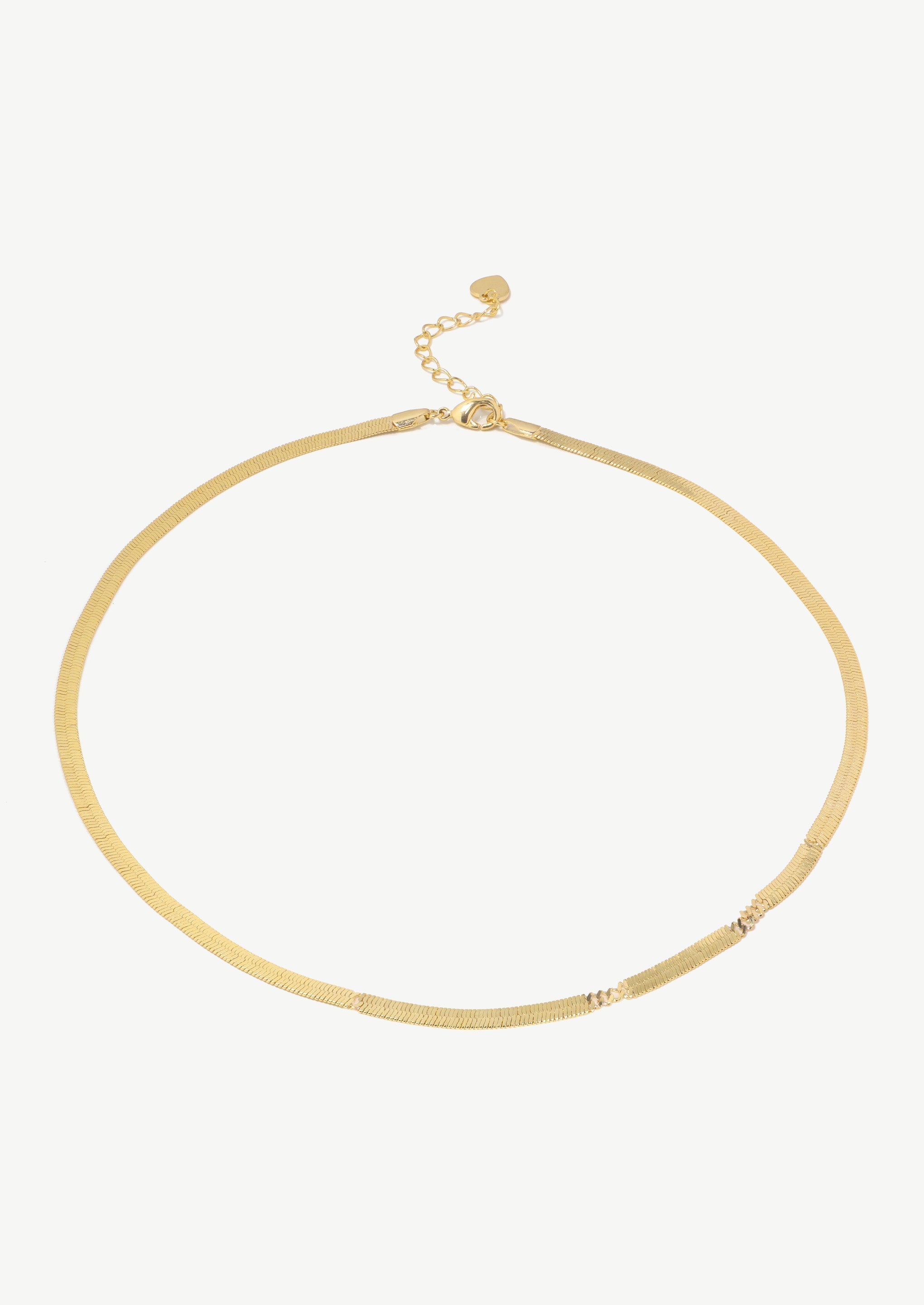 Snake Chain Necklace